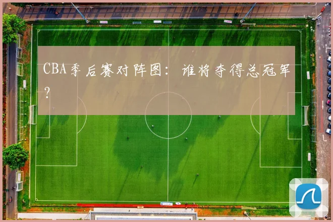 CBA季后赛对阵图：谁将夺得总冠军？