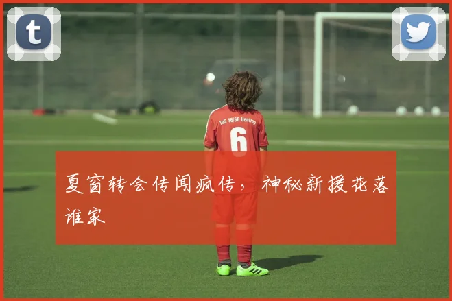 夏窗转会传闻疯传,神秘新援花落谁家