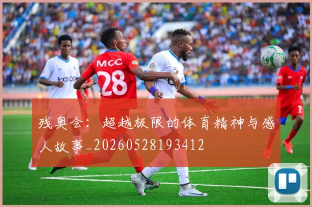 残奥会：超越极限的体育精神与感人故事_20260528193412