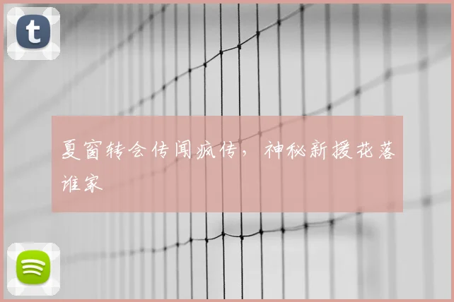 夏窗转会传闻疯传,神秘新援花落谁家