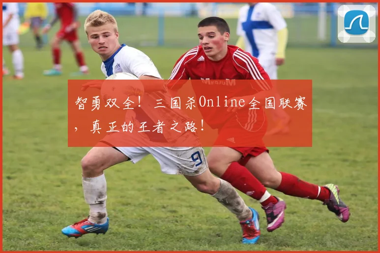 智勇双全！三国杀Online全国联赛，真正的王者之路！