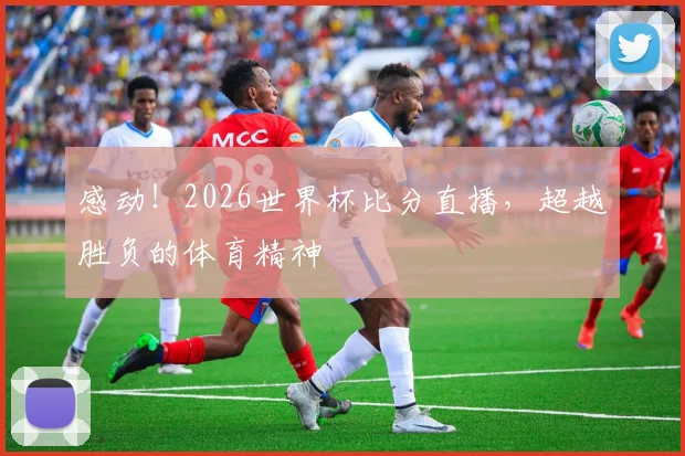 感动!2026世界杯比分直播,超越胜负的体育精神