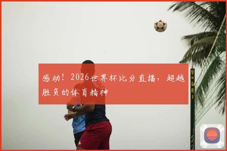 感动！2026世界杯比分直播，超越胜负的体育精神